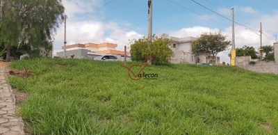 Terreno, 267 m² - Foto 3