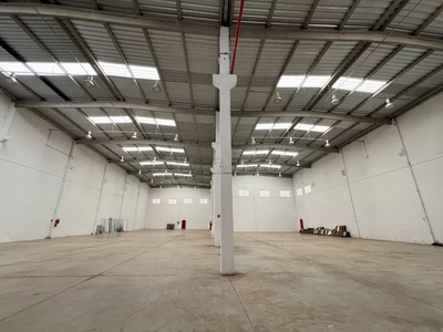 Depósito-Galpão, 5000 m² - Foto 5