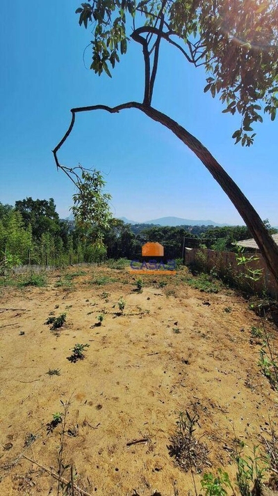 Terreno, 525 m² - Foto 5