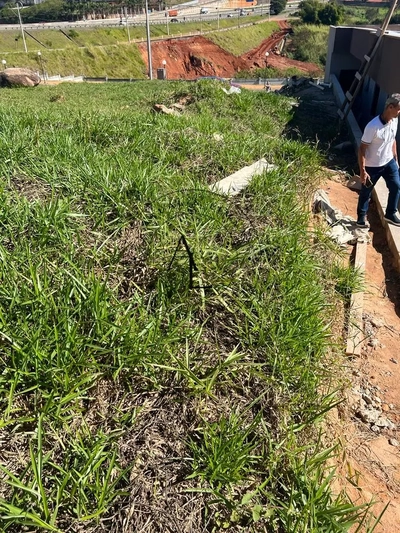 Terreno, 419 m² - Foto 5