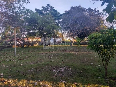 Sítio, 2 quartos, 300000 m² - Foto 3