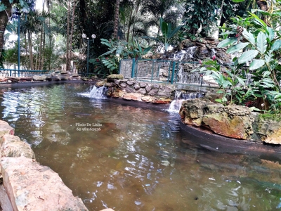 Chácara, 4 quartos, 6800 m² - Foto 3