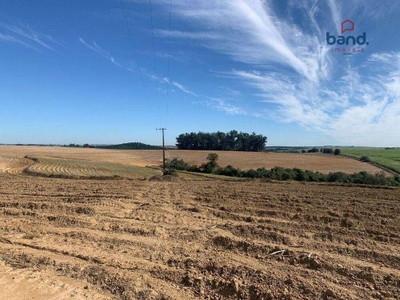 Fazenda-Sítio-Chácara, 264 hectares - Foto 2