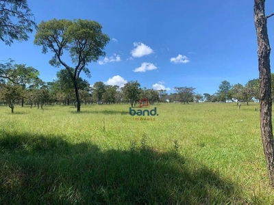 Fazenda-Sítio-Chácara, 232 hectares - Foto 1