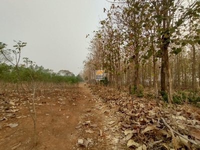 Chácara, 1 quarto - Foto 1