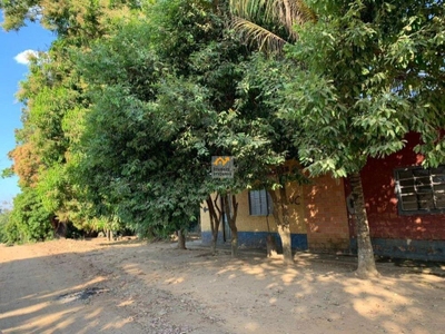 Depósito-Galpão - Foto 3