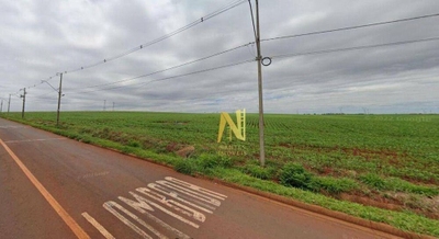 Terreno, 24 hectares - Foto 2