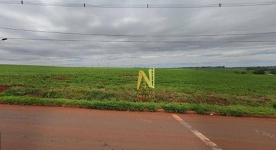 Terreno, 24 hectares - Foto 1