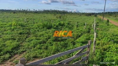 Fazenda, 477 hectares - Foto 5