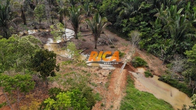 Sítio, 2 hectares - Foto 3