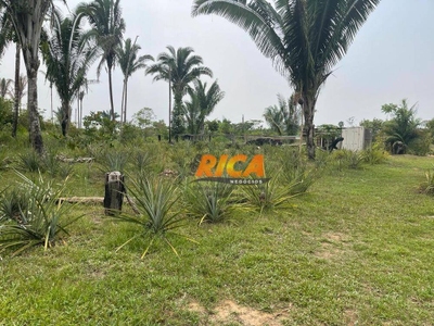 Chácara, 2 hectares - Foto 5