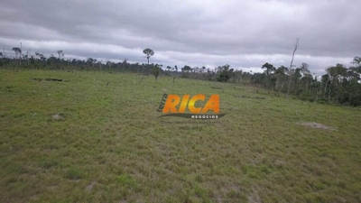 Sítio, 43 hectares - Foto 4