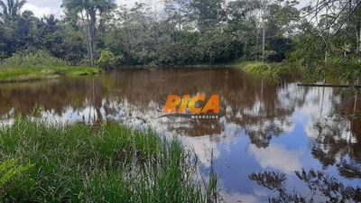 Chácara, 3 hectares - Foto 5