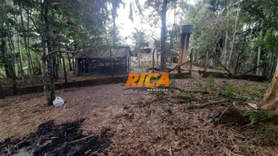 Chácara, 3 hectares - Foto 3