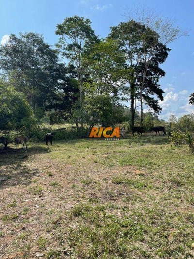 Sítio, 25 hectares - Foto 4