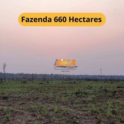 Fazenda-Sítio-Chácara, 660 hectares - Foto 1