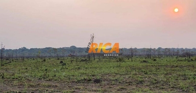 Fazenda-Sítio-Chácara, 660 hectares - Foto 2