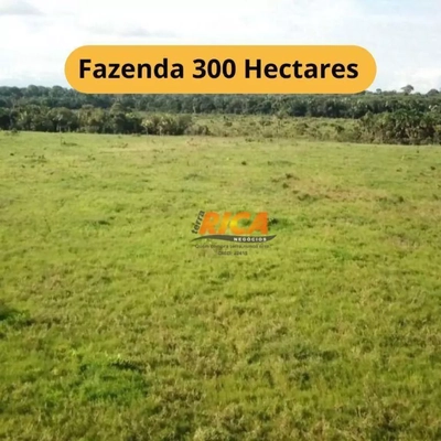 Fazenda-Sítio-Chácara, 300 hectares - Foto 1
