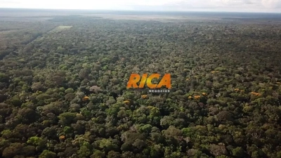 Fazenda-Sítio-Chácara, 300 hectares - Foto 4