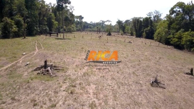 Sítio, 19 hectares - Foto 4