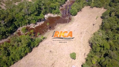 Sítio, 19 hectares - Foto 1