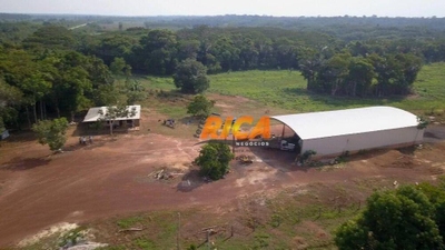 Fazenda, 167 hectares - Foto 5