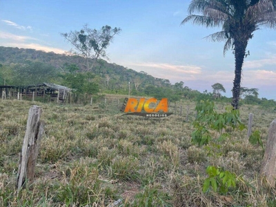 Chácara, 3 hectares - Foto 4