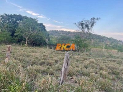 Chácara, 3 hectares - Foto 3