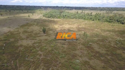 Fazenda-Sítio-Chácara, 300 hectares - Foto 3