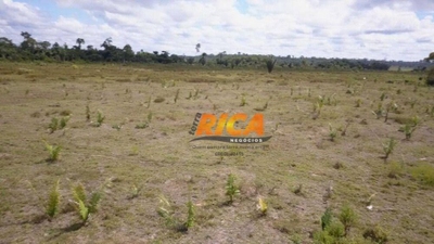 Fazenda-Sítio-Chácara, 300 hectares - Foto 2