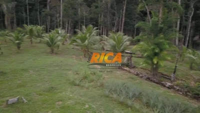 Chácara, 2 quartos, 5 hectares - Foto 2