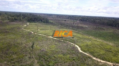 Fazenda-Sítio-Chácara, 200 hectares - Foto 1