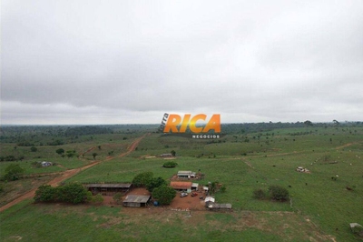 Fazenda-Sítio-Chácara, 484 hectares - Foto 2