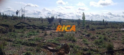 Fazenda-Sítio-Chácara, 114 hectares - Foto 2