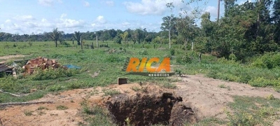 Fazenda-Sítio-Chácara, 114 hectares - Foto 4