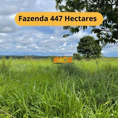Fazenda-Sítio-Chácara, 447 hectares - Foto 1