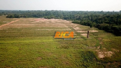 Fazenda-Sítio-Chácara, 140 hectares - Foto 4