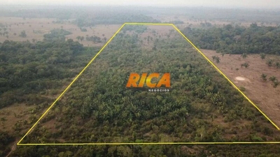 Fazenda, 25 hectares - Foto 3