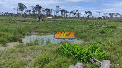 Fazenda-Sítio-Chácara, 200 hectares - Foto 2