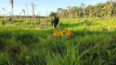 Fazenda-Sítio-Chácara, 1500 hectares - Foto 4