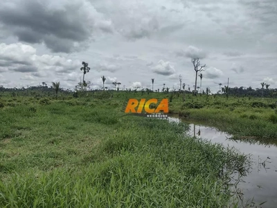 Fazenda, 484 hectares - Foto 5