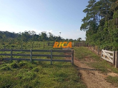 Fazenda-Sítio-Chácara, 453 hectares - Foto 4