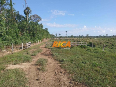 Fazenda-Sítio-Chácara, 453 hectares - Foto 5