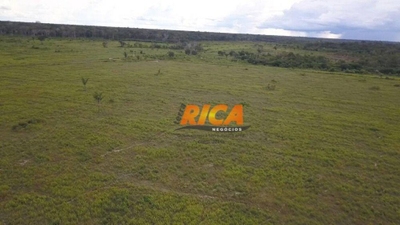 Fazenda, 467 hectares - Foto 4