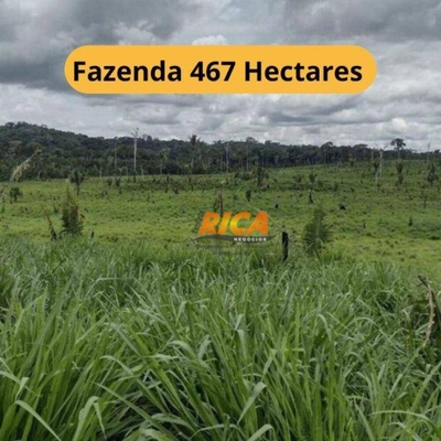 Fazenda, 467 hectares - Foto 1