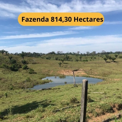 Fazenda-Sítio-Chácara, 814 hectares - Foto 1