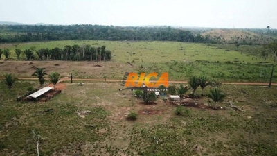 Fazenda-Sítio-Chácara, 416 hectares - Foto 3