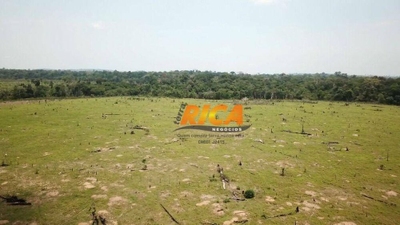 Fazenda-Sítio-Chácara, 416 hectares - Foto 2