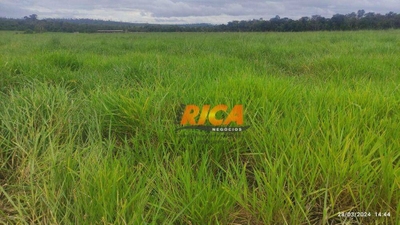 Fazenda-Sítio-Chácara, 700 hectares - Foto 2