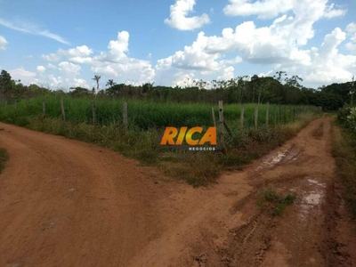 Chácara, 1 quarto, 7 hectares - Foto 3